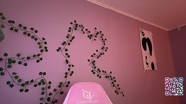 milimoon webcam