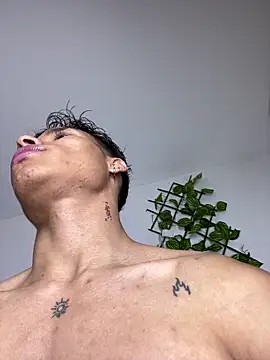 NelModel1 webcam