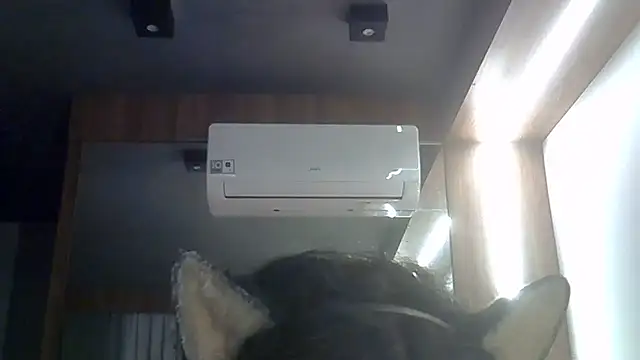SkinnyKitten webcam