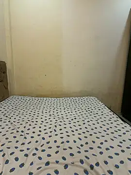 PayalDesire webcam