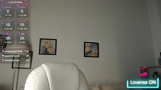 Cloee_dss webcam