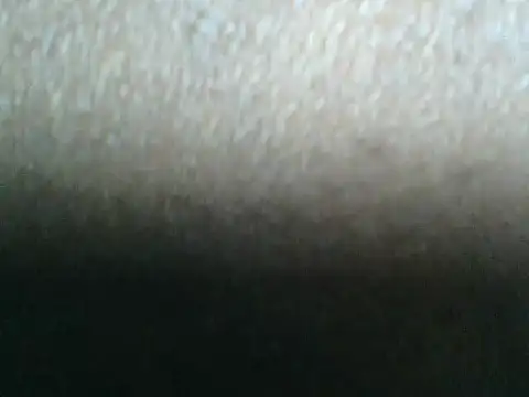SoftSaphire webcam