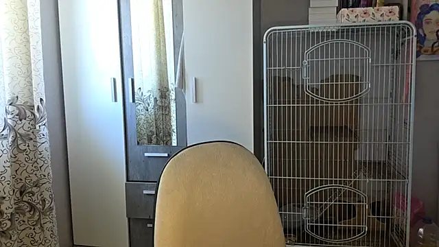 AtticNobel webcam