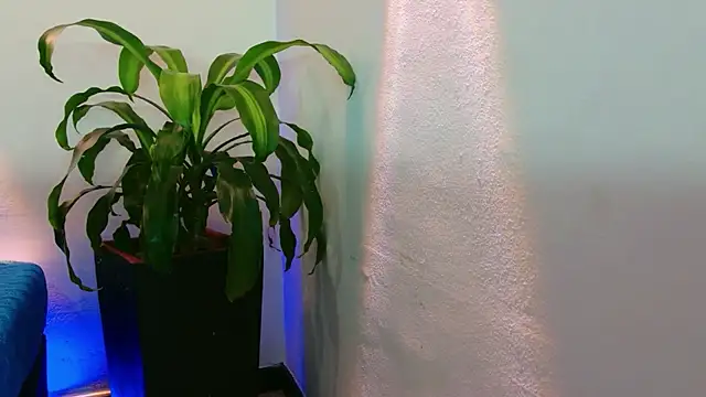 Mandy_boobs99 webcam