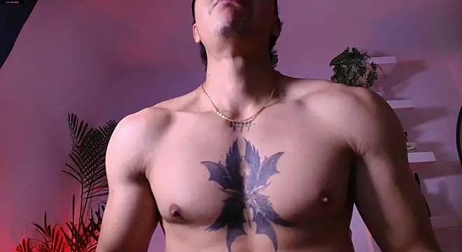 andyypalmer_ webcam