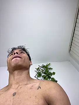 NelModel1 webcam