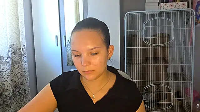 AtticNobel webcam