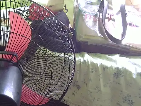 Tinderella webcam