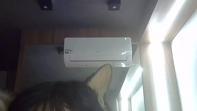 SkinnyKitten webcam