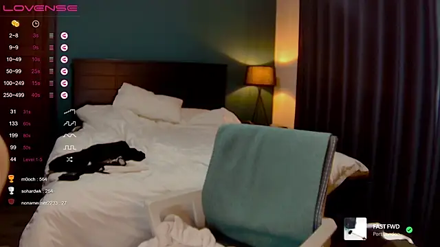 IttyKitty webcam