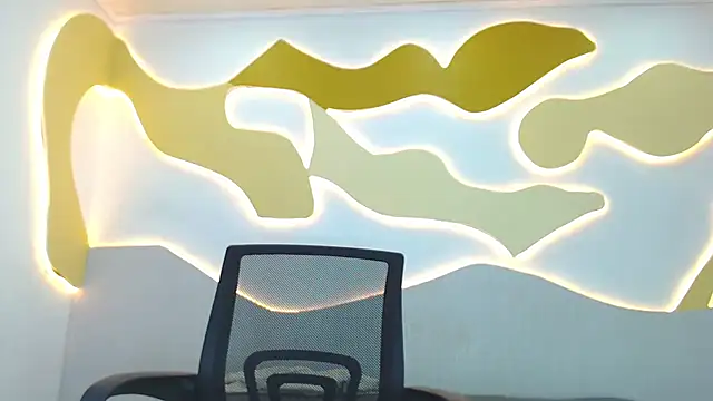 Hollmanhot webcam