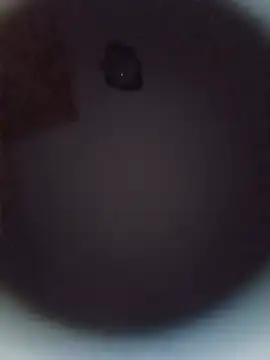 danyelC2 webcam