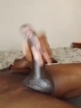 Da-Dick-Son webcam