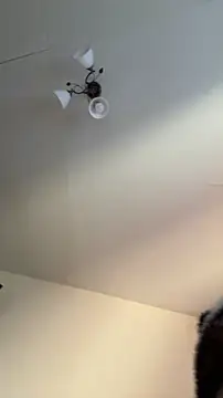 Hz1Tr live sex cam