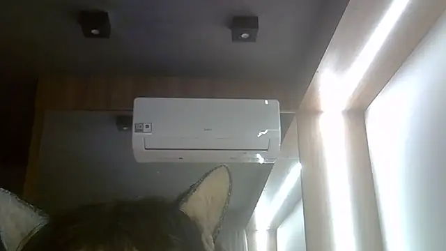 SkinnyKitten live cam on StripChat