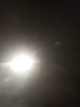hairy_mannn webcam