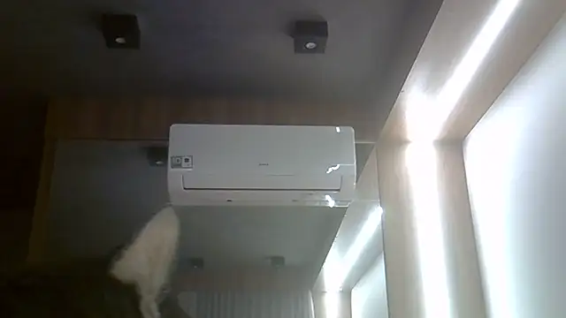 SkinnyKitten webcam