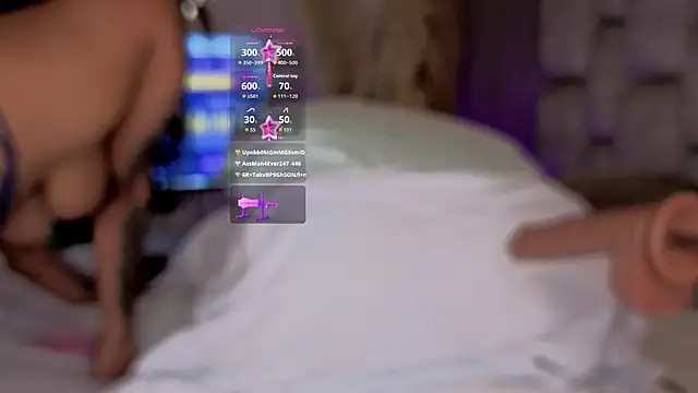 Silvermistt webcam
