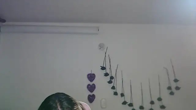 SLOPPYTITSS webcam