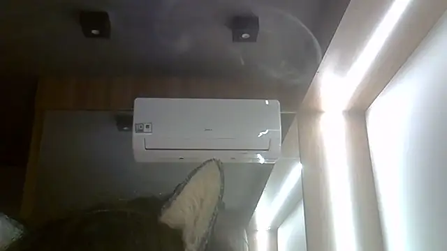SkinnyKitten webcam