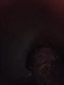 Nidge251 webcam