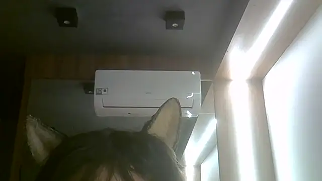 SkinnyKitten webcam