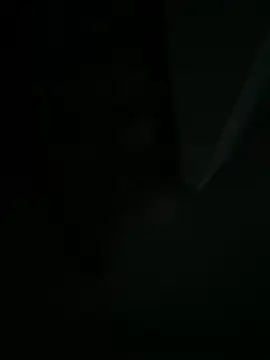 bigdick20101 webcam