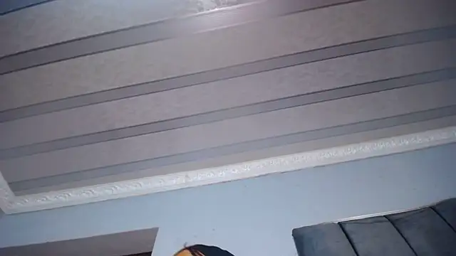 XPanther_24 webcam