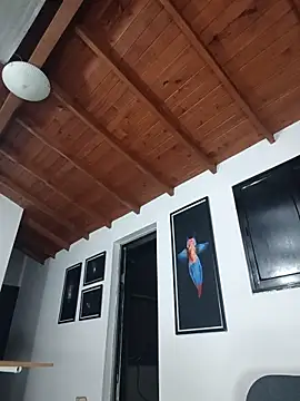 SilvaBranko webcam