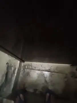 alexforyouall12 live cam