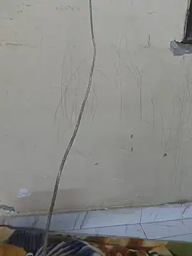 Ruhani_ live cam