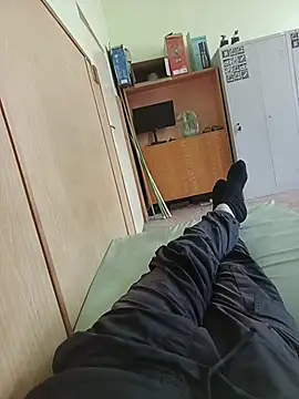 SamVer1 webcam