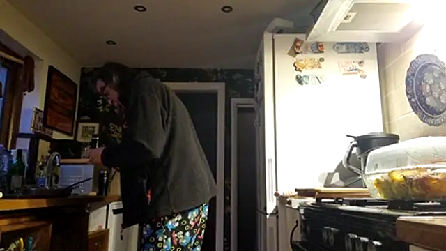 stavroun webcam