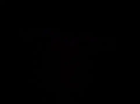 BustlingShirt webcam