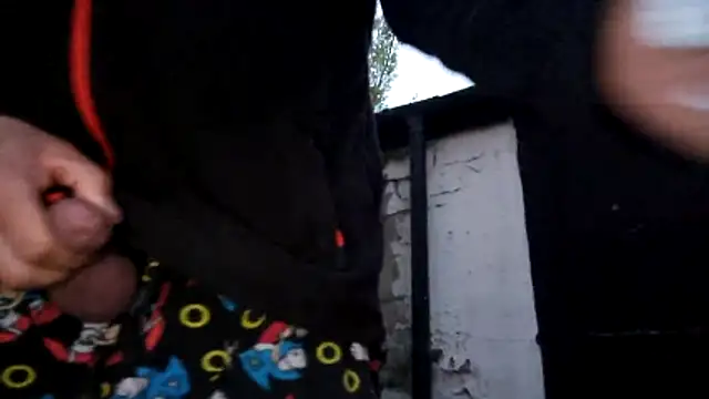 stavroun webcam