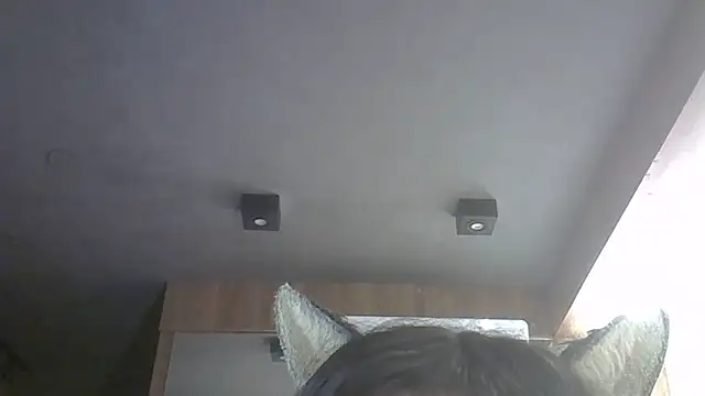 SkinnyKitten webcam