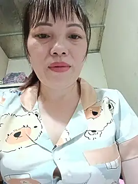Sana-vn webcam