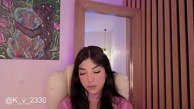 sofiesoft webcam