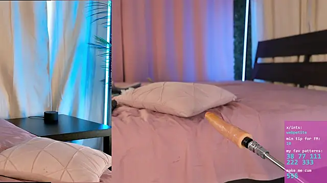 webpetite webcam
