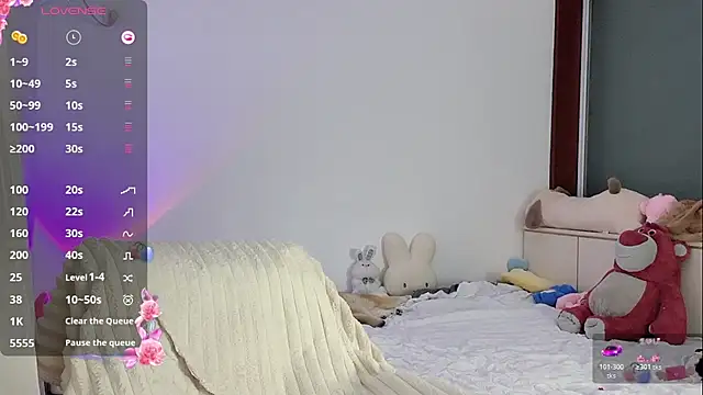 _flipped_ webcam