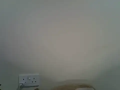 Ritty2030 webcam