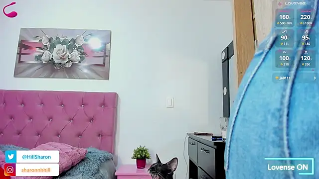 sharon_hill webcam