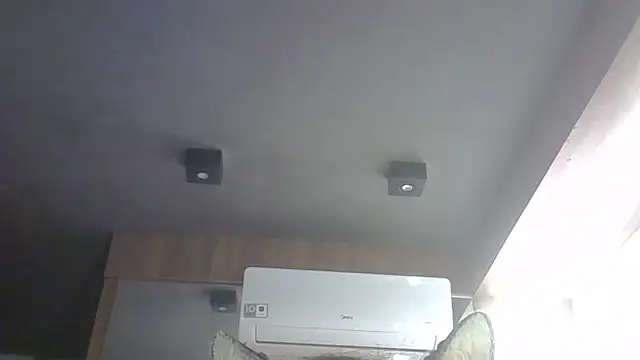 SkinnyKitten webcam