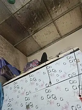 Sana-vn webcam