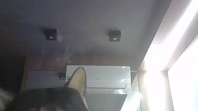 SkinnyKitten live cam on StripChat