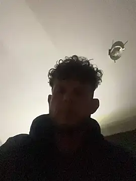 Patronel webcam