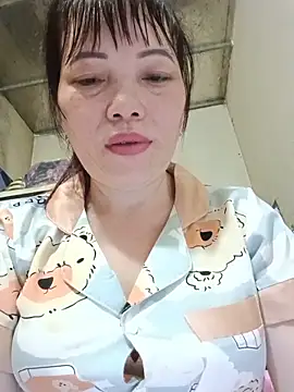 Sana-vn webcam