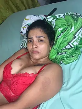 LuzDream webcam