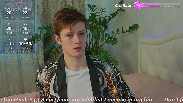 Allert_ live cam