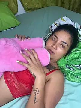 LuzDream webcam